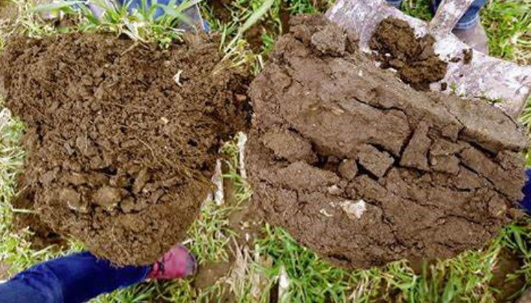 Soil Analysis Soil Analysis